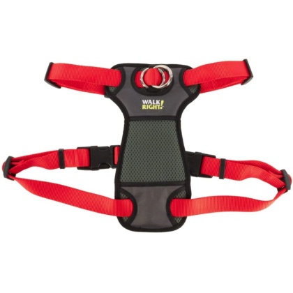 Coastal Pet Walk Right Padded Dog Harness Red - Small