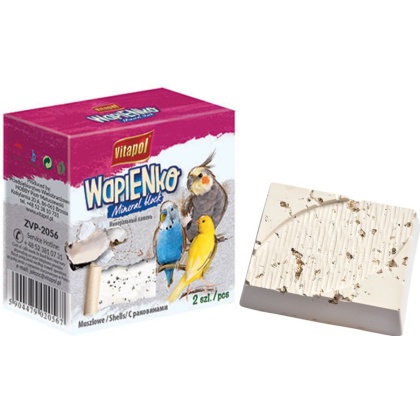 AE Cage Company Sea Shell Infused Bird Mineral Block Large - 2 count