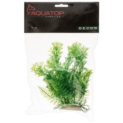 Aquatop Cabomba Aquarium Plant - Green - 6\