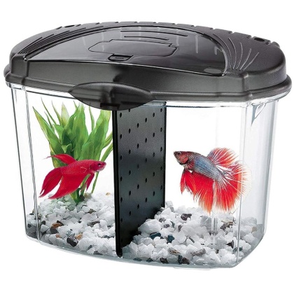 Aqueon Betta Bowl Starter Kit - Black - .5 Gallon