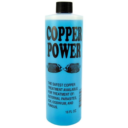 Copper Power Marine Copper Treatment - 16 oz