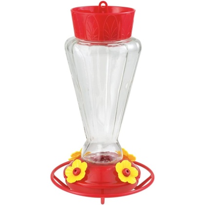 More Birds Royal Glass Hummingbird Feeder - 28 oz capacity