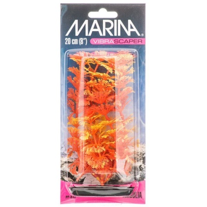 Marina Vibrascraper Ambulia Plant - Orange & Yellow - 8\