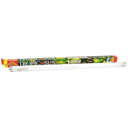 Zoo Med Tropic Sun 5,500K Daylight Bulb - 17 Watts T8 (24\