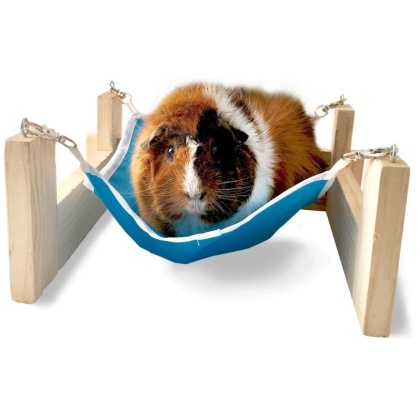 Kaytee Hammock with Stand - 1 Pack - 11\