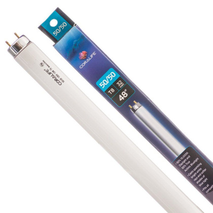 Coralife 50/50 Flourescent 6,000K True Actinic 03 T8 - 32 Watts - 48\