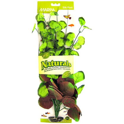 Marina Silk Pennywort Aquarium Plant - Red & Green - X-Large (15\