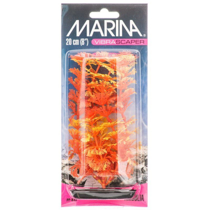 Marina Vibrascraper Ambulia Plant - Orange & Yellow - 8\