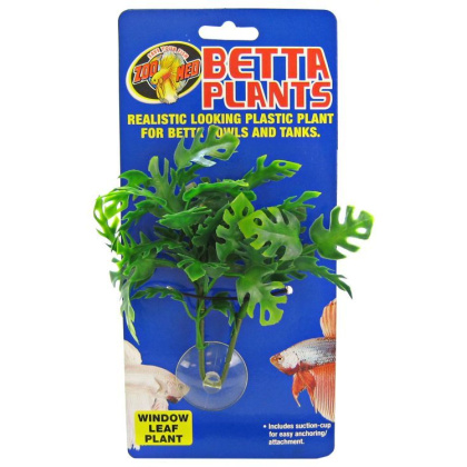 Zoo Med Aquatic Betta Plants - Window Leaf Plant - Window Leaf Betta Plant