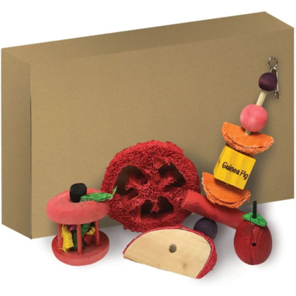 Kaytee Chew & Treat Toy Assortment for Guinea Pigs - 1 count